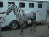 /album/fotogaleria/a28-espa-jpg/